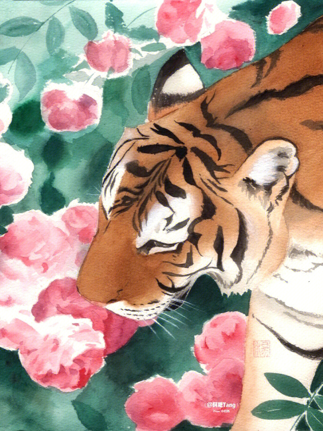 猛虎嗅蔷薇素描图片