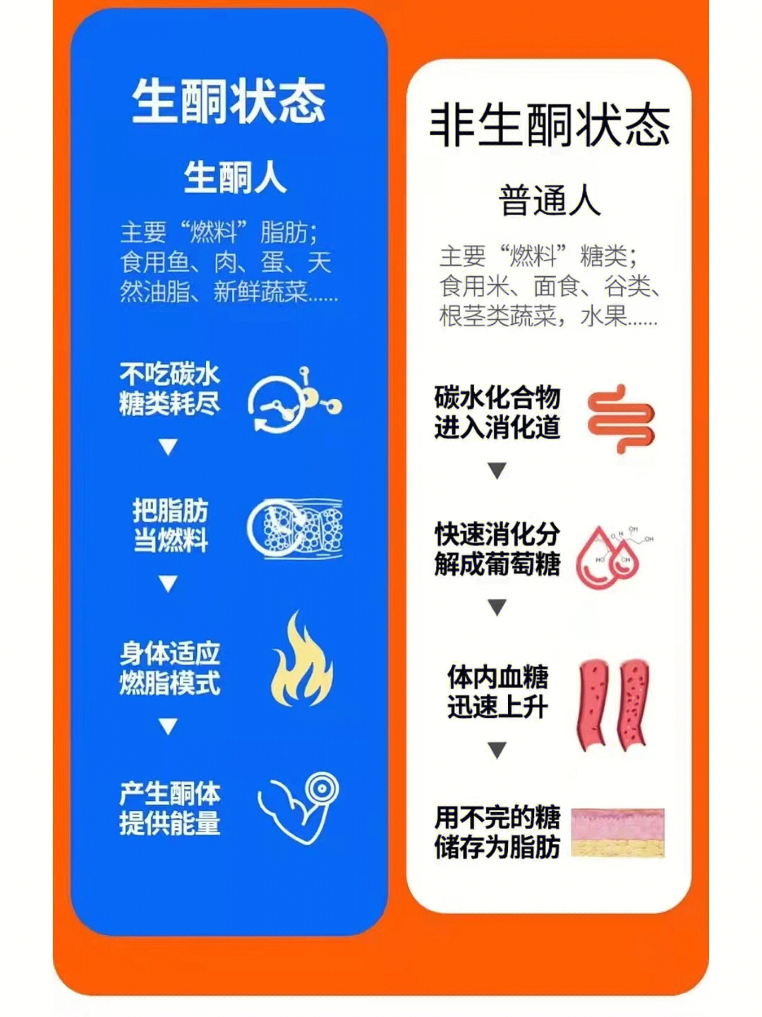 生酮饮食副作用图片