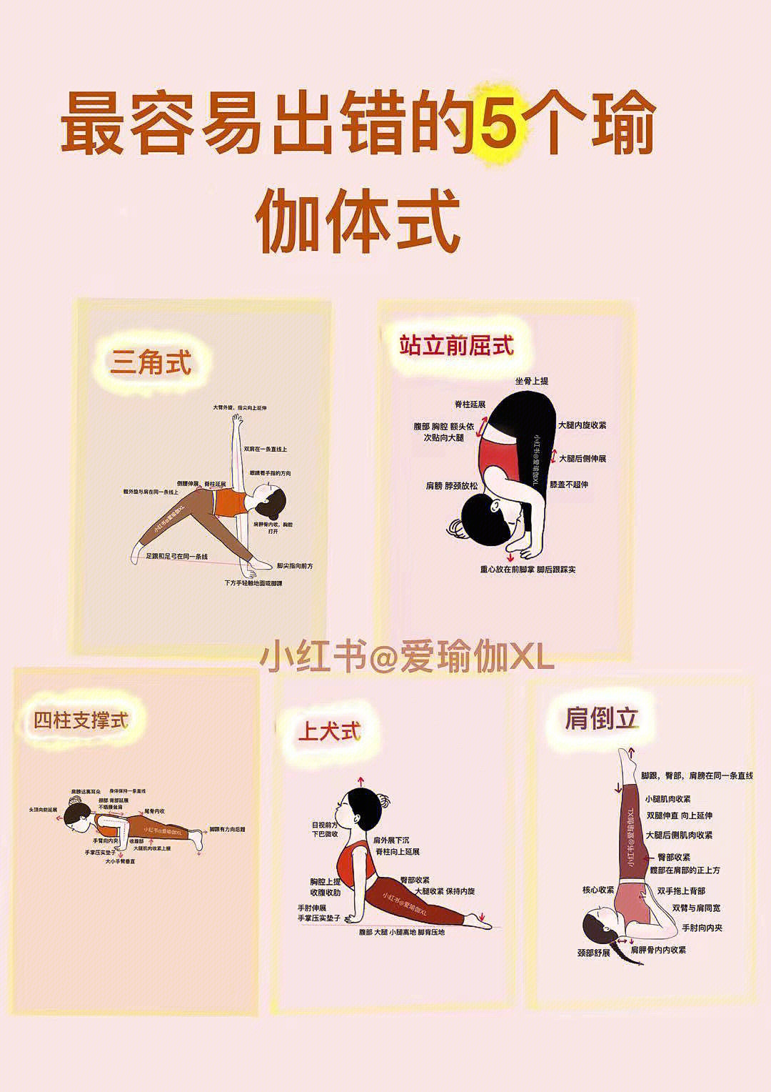 在家自学瑜伽初学教程图片