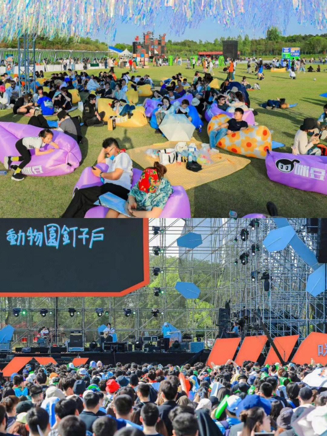 南京咪豆音乐节2020图片