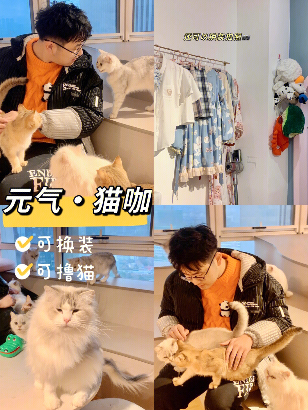 男朋友是爱猫达人,超级喜欢猫咪92于是我们去了很多家猫咖玩,这家真