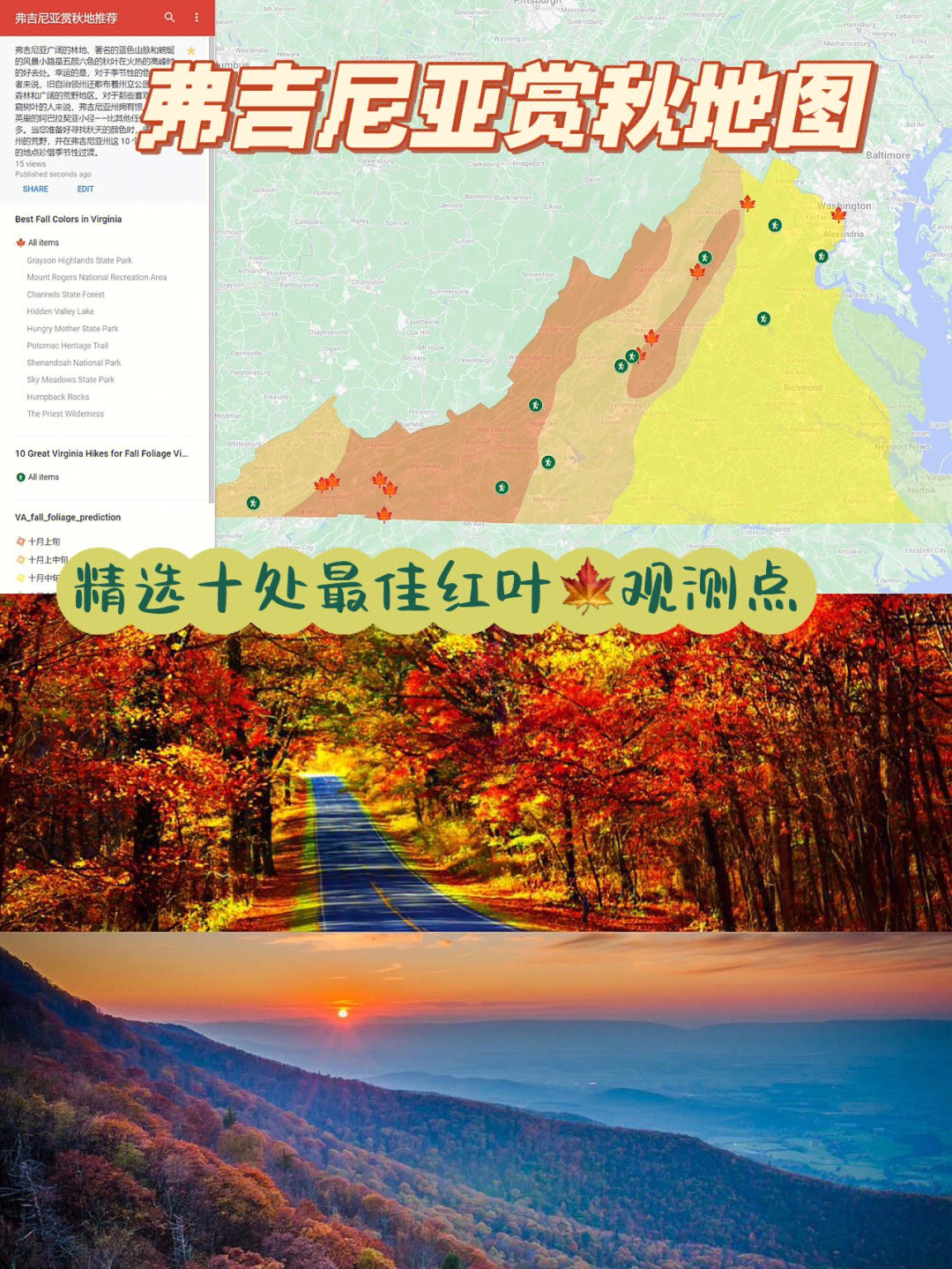中国清朝枫叶地图图片
