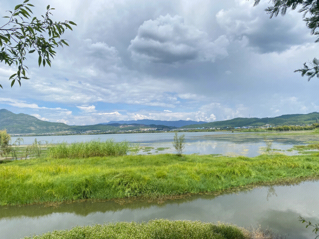 拉市海湿地公园简介图片