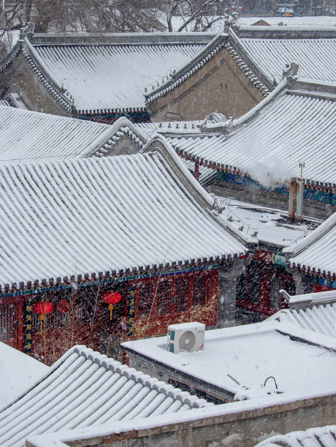 2022北京春雪图片图片
