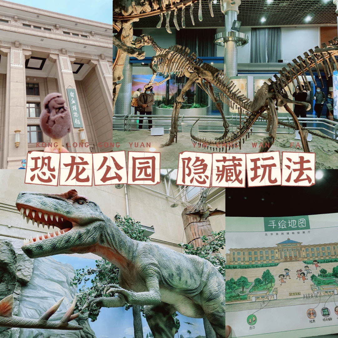 北京恐龙博物馆门票图片