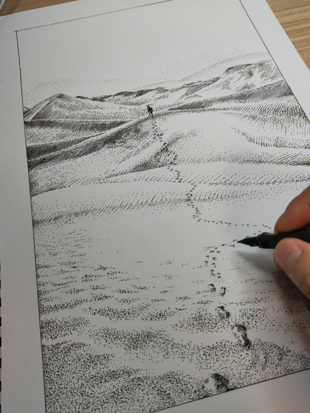钢笔画沙漠