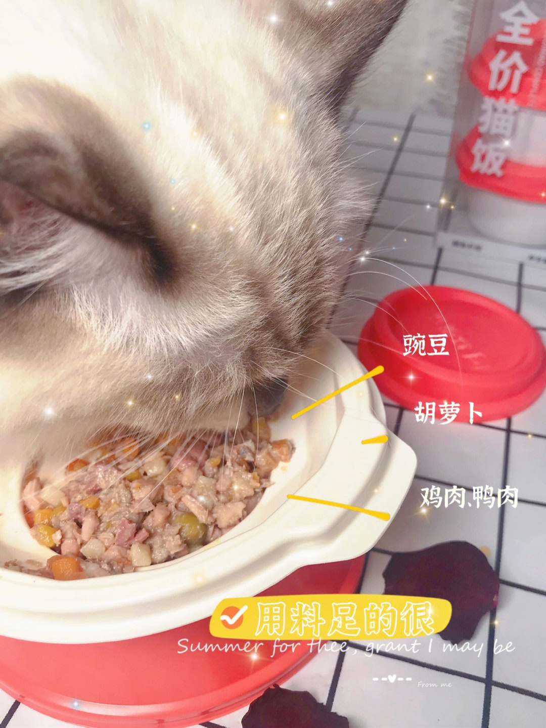 猫咪主食只有猫粮那你就错了