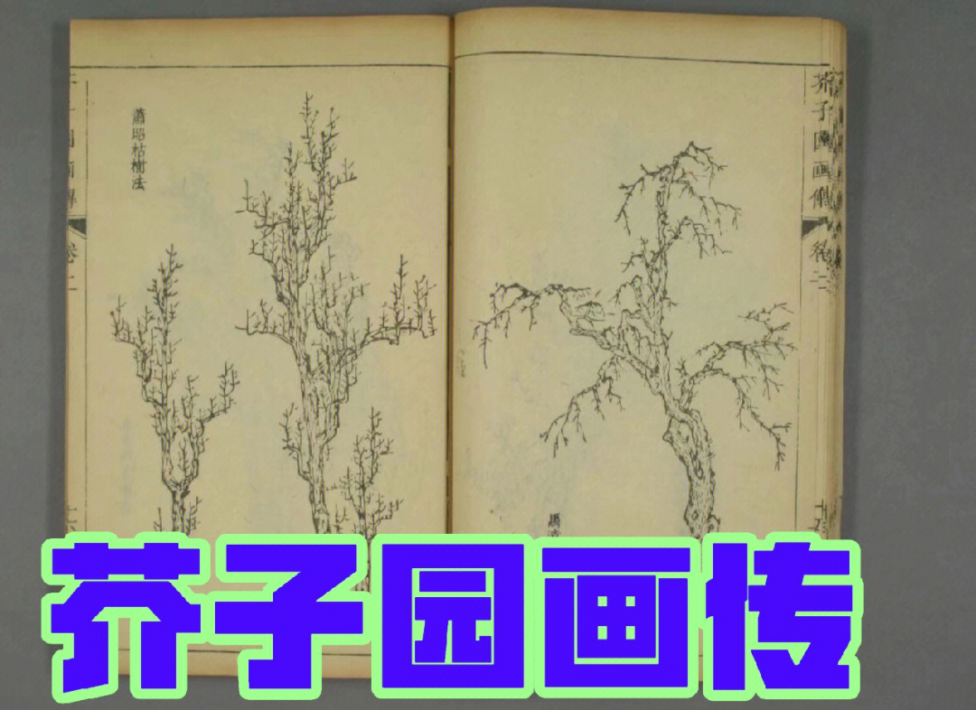 芥子园画谱画传百度网盘