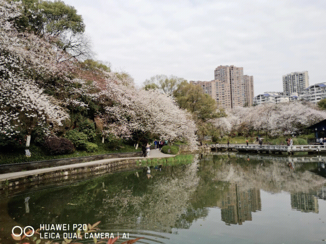 河西望月公园图片