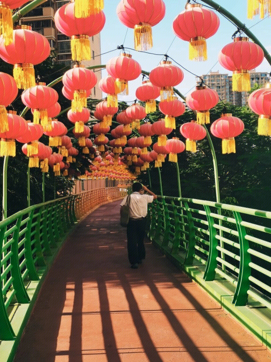 漳州彩虹桥介绍图片