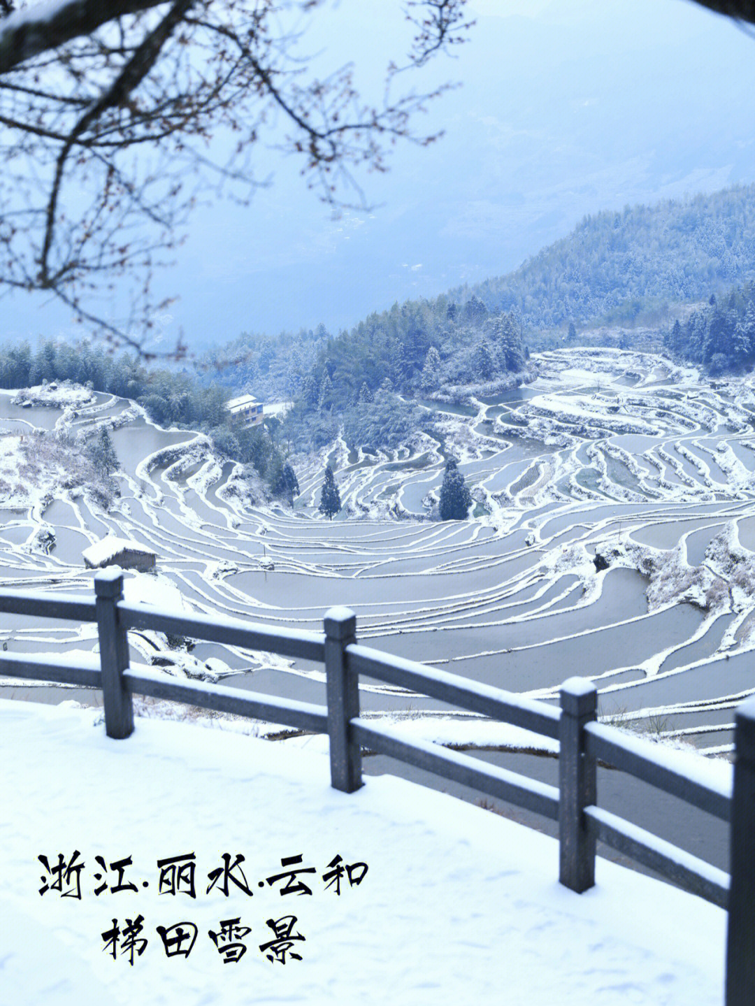 7515地点:浙江省丽水市云和县梯田景区 梯田雪景