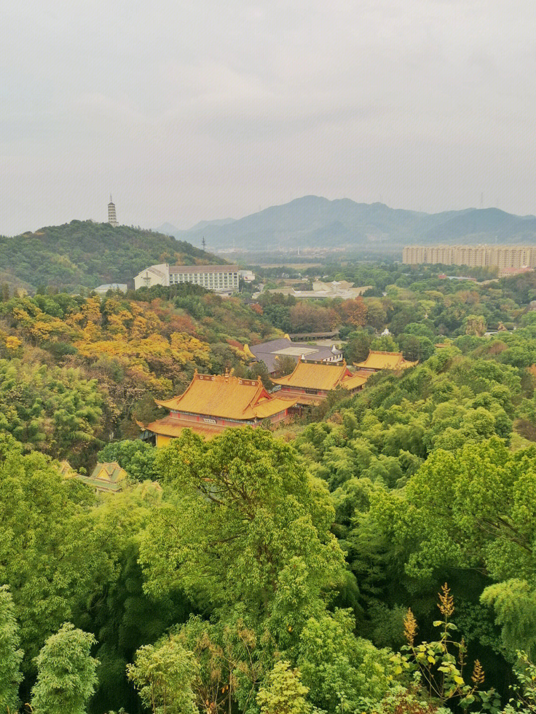 东方文化园景点介绍图片