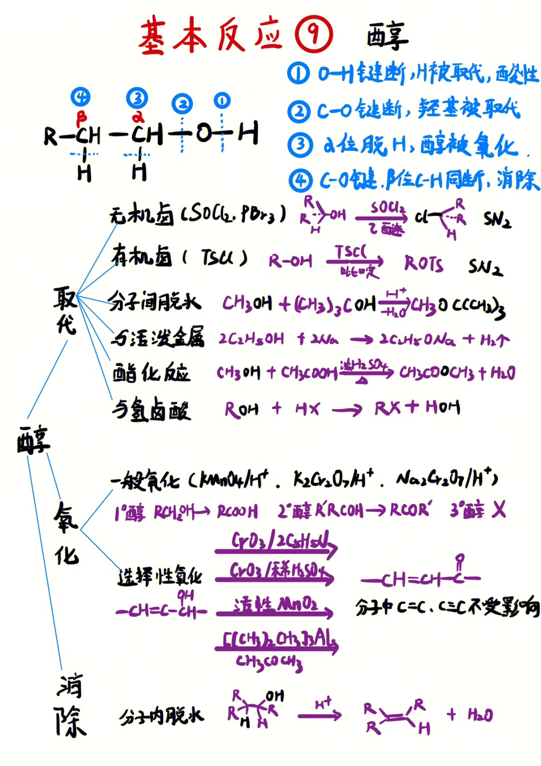 醇的消去反应图片