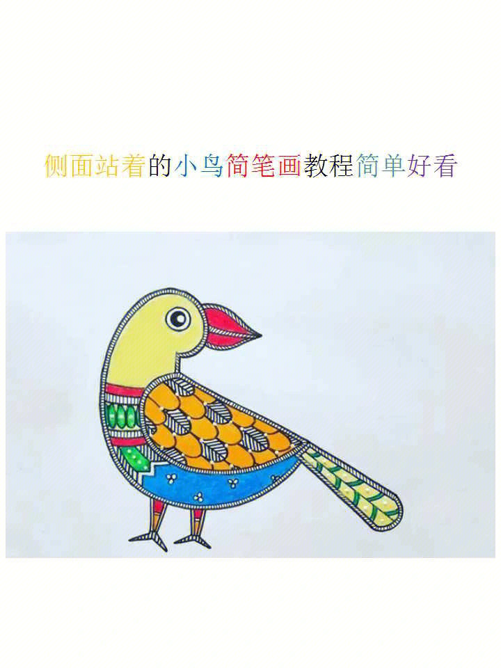 然后按自己的喜好给小鸟设计漂亮的花纹和颜色,一只可爱小鸟就画完了