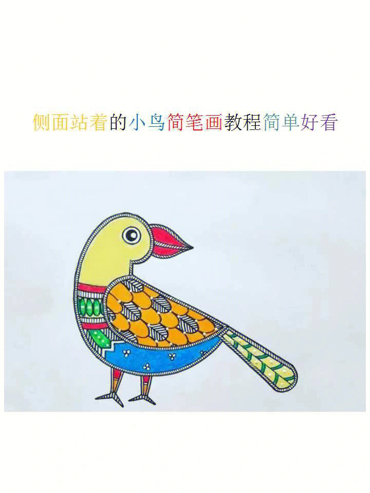 侧面站着的小鸟简笔画教程简单好看