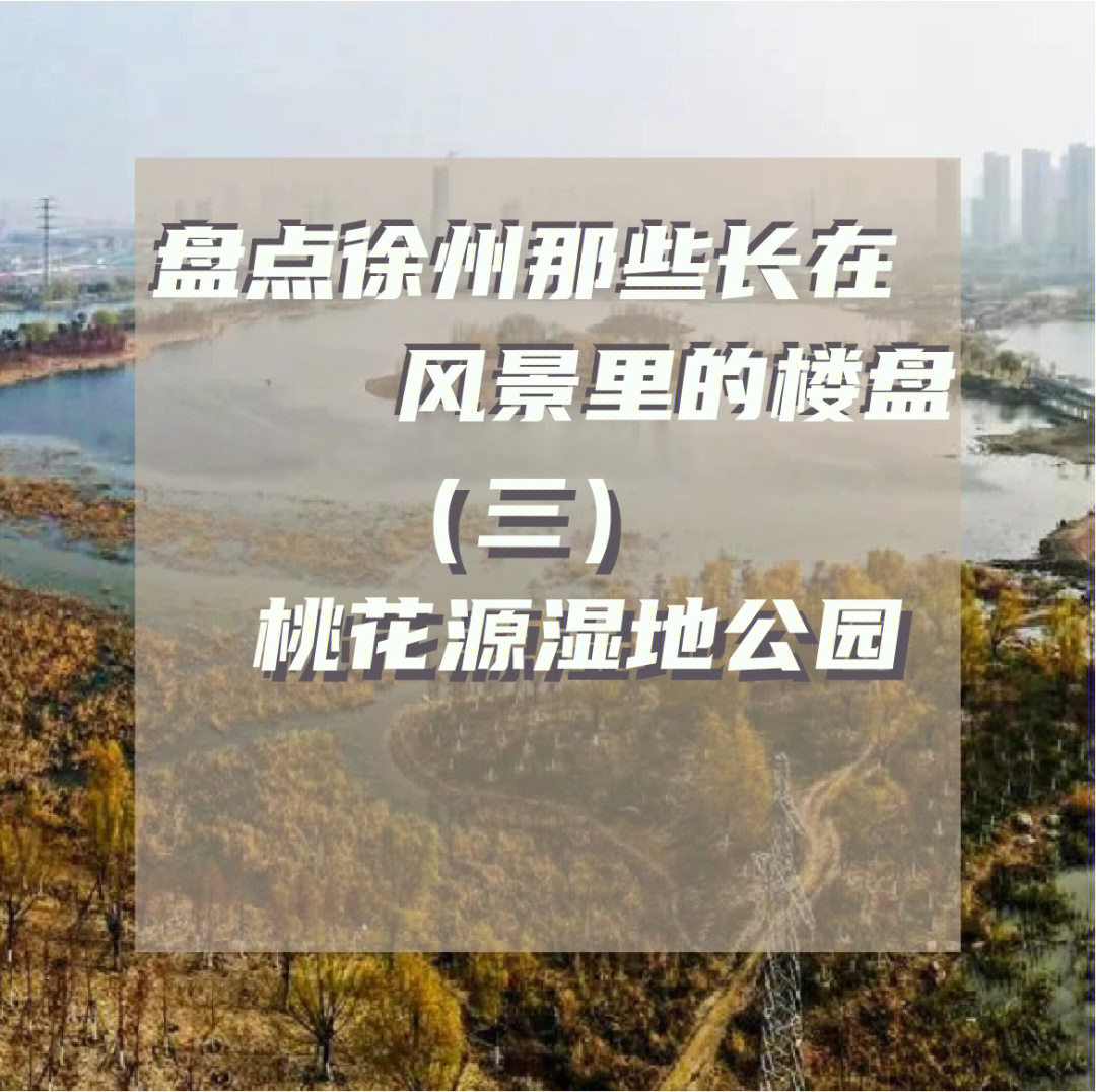 桃花源湿地公园,是徐州市重点城建工程,也是徐州园博会分址之一