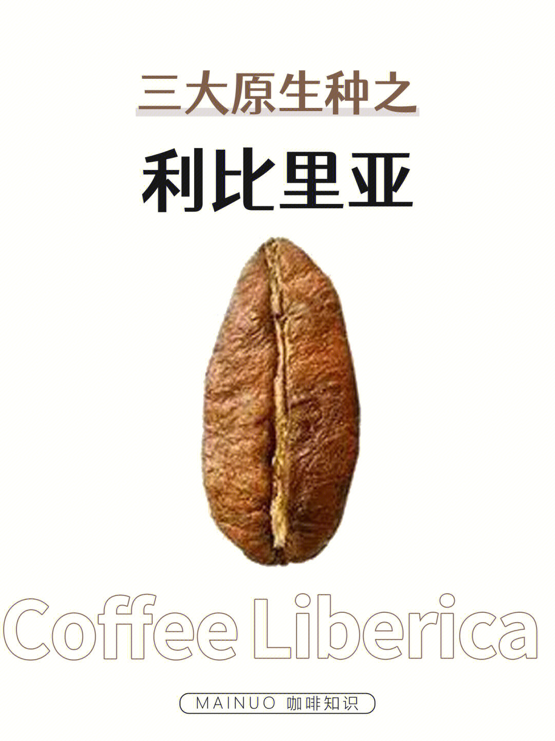 利比里亚咖啡图片