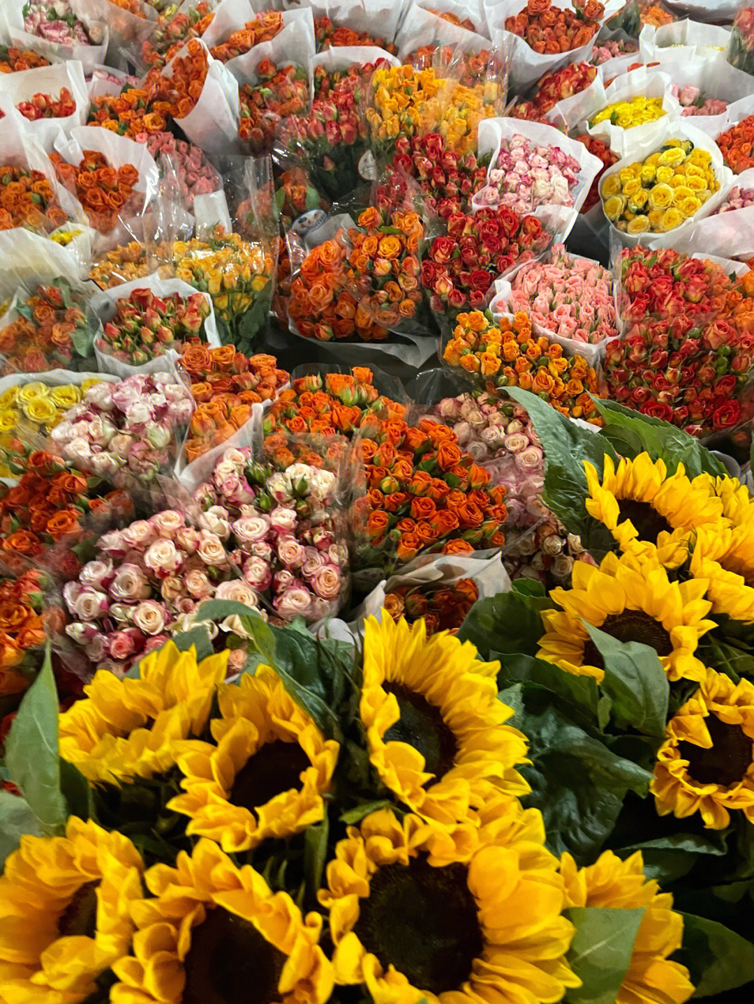 2021三圣花乡花卉市场图片