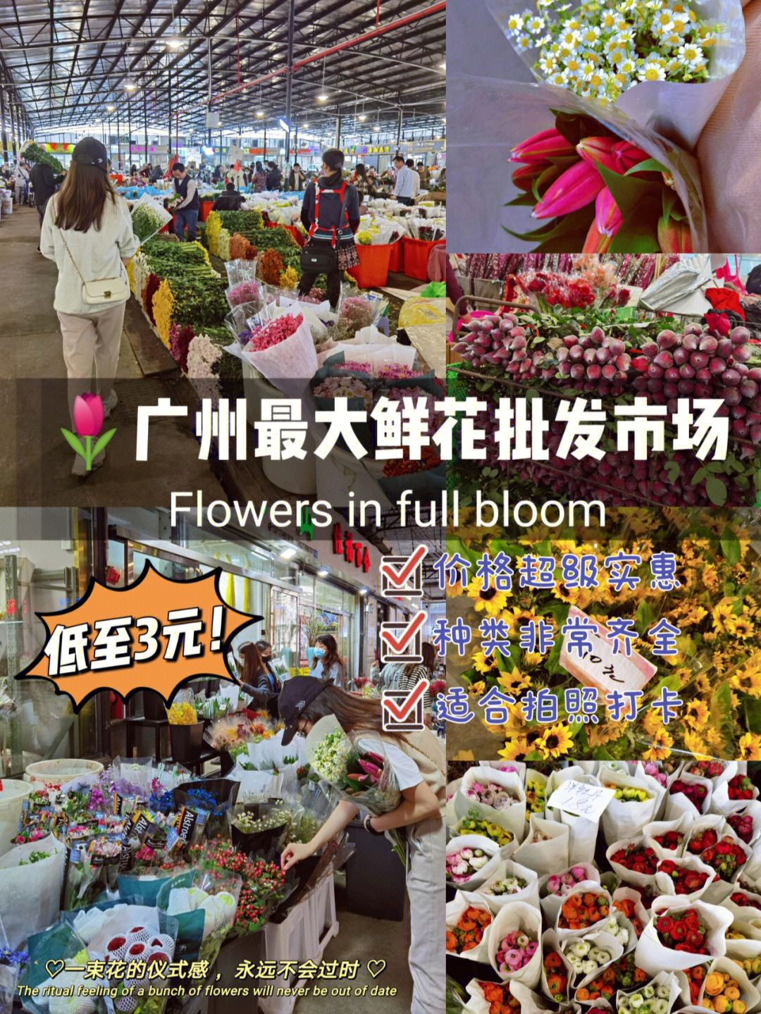 广州岭南花卉市场低至3元鲜花自由啦