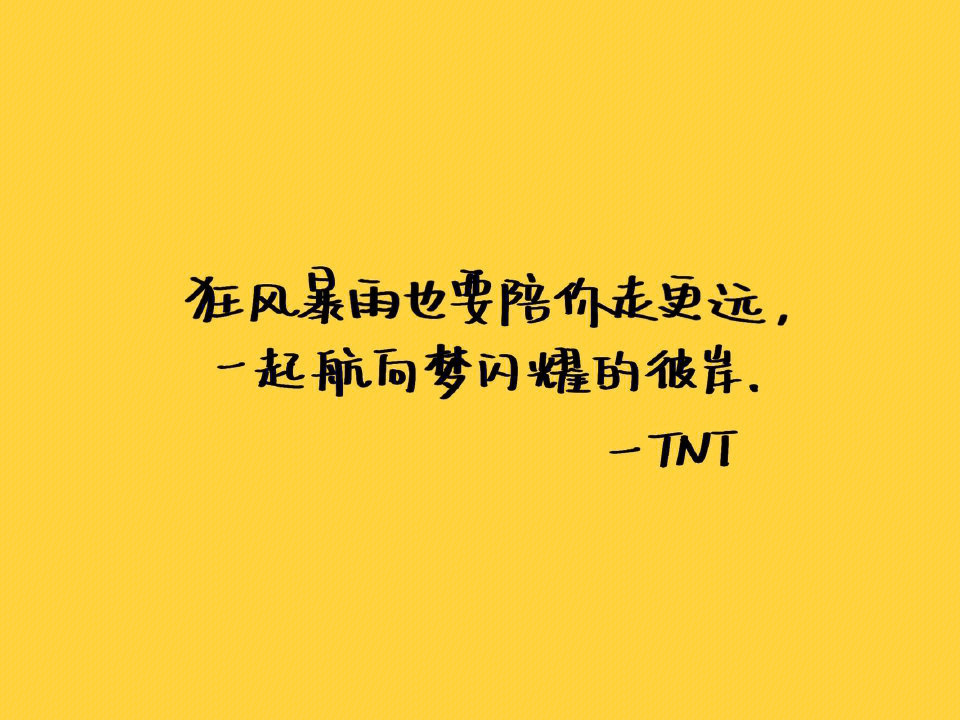 TNT神仙语录温柔图片