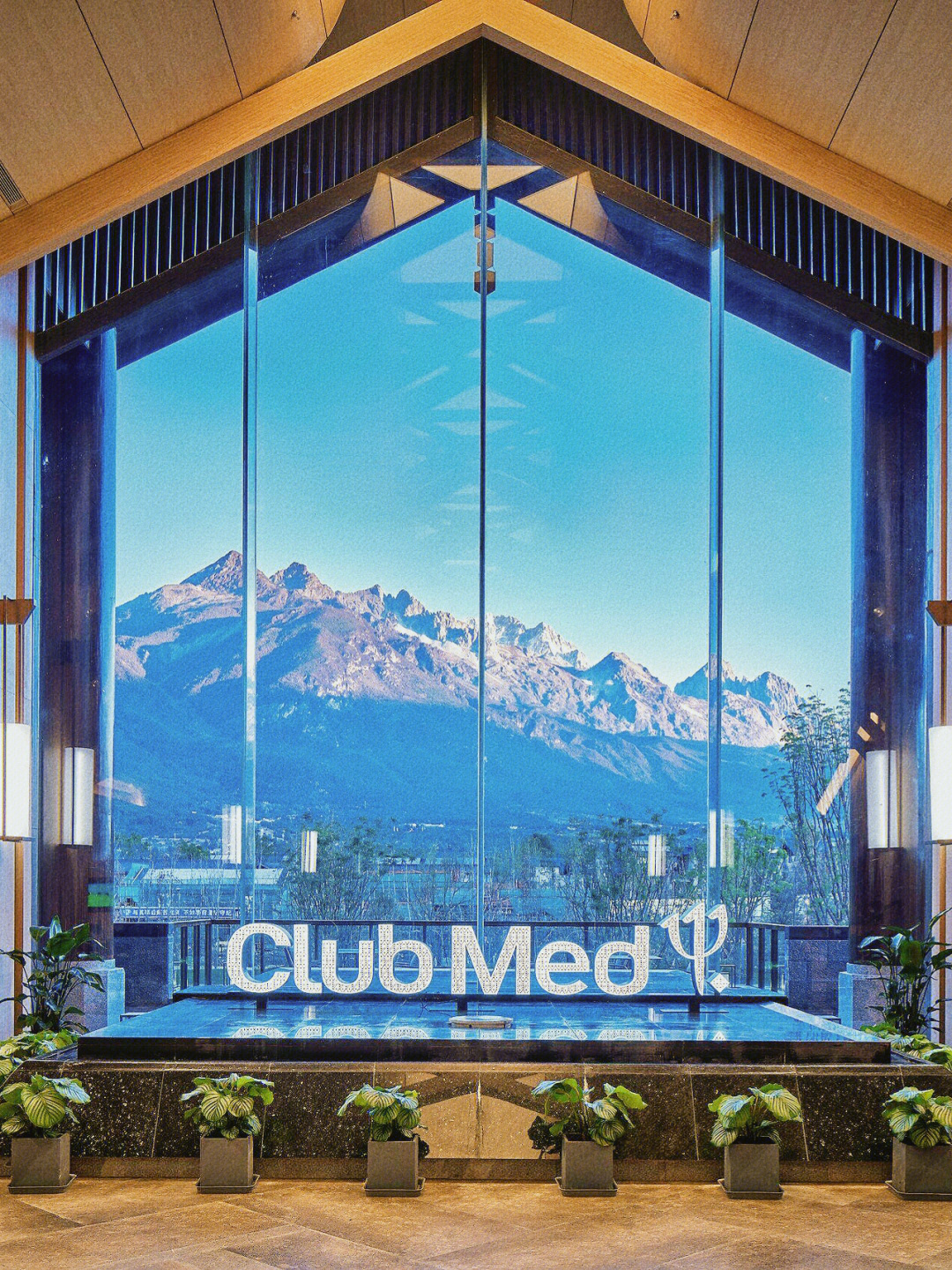 clubmedlogo图片