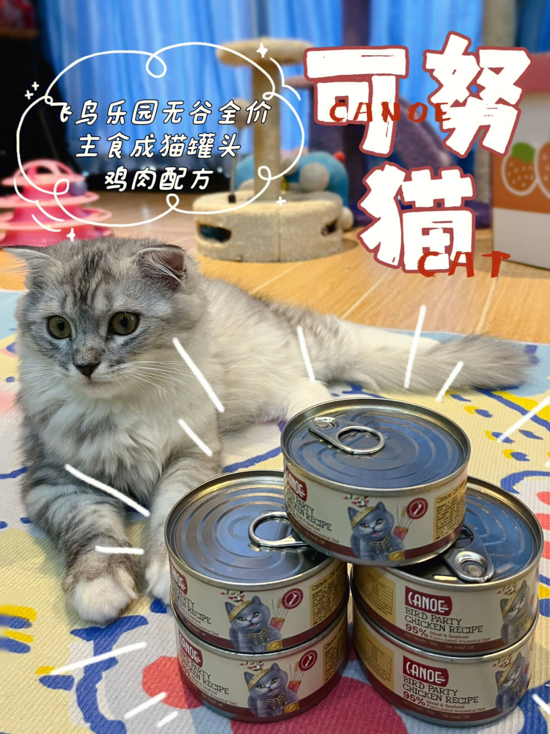 性价比很高的进口猫罐头