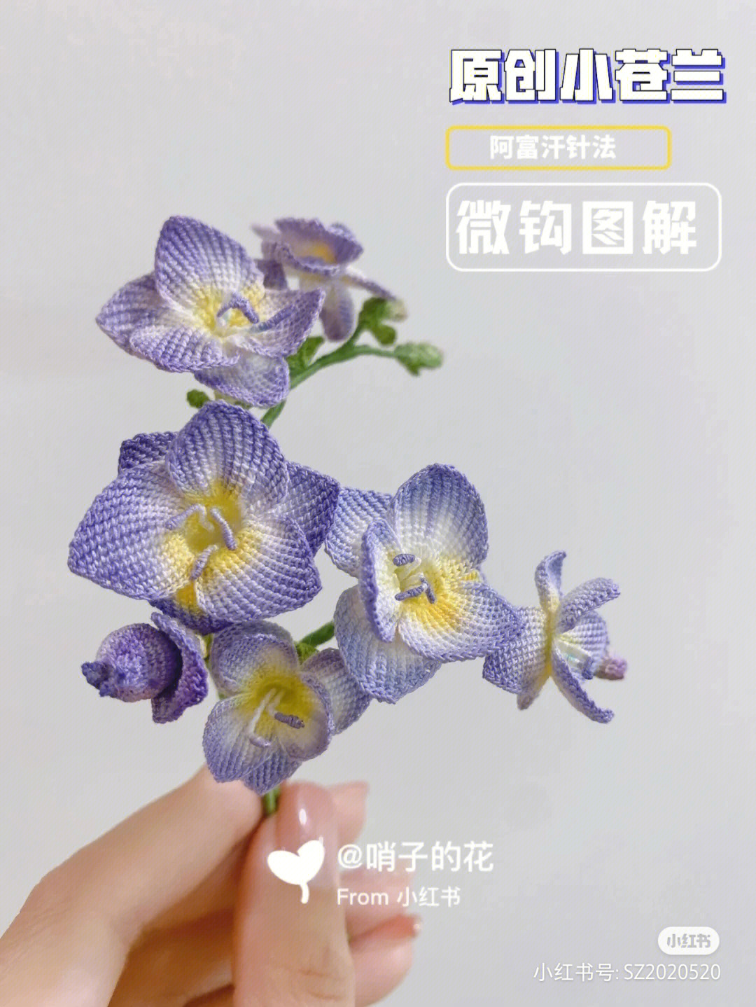 蓝盆花微钩教程图片
