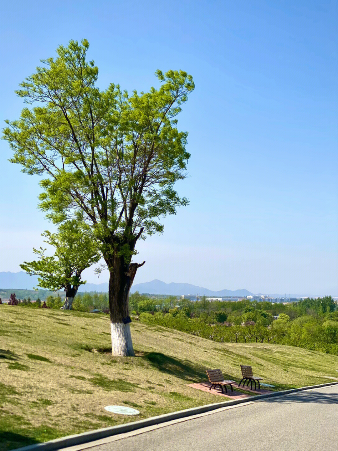 烟台植物园冬天好玩么图片