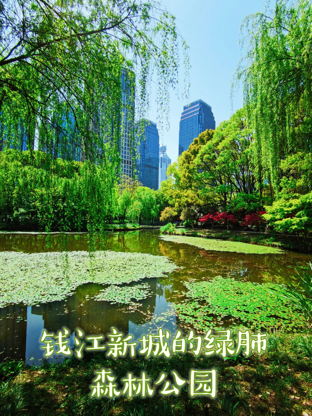 钱江新城二期都会森林图片