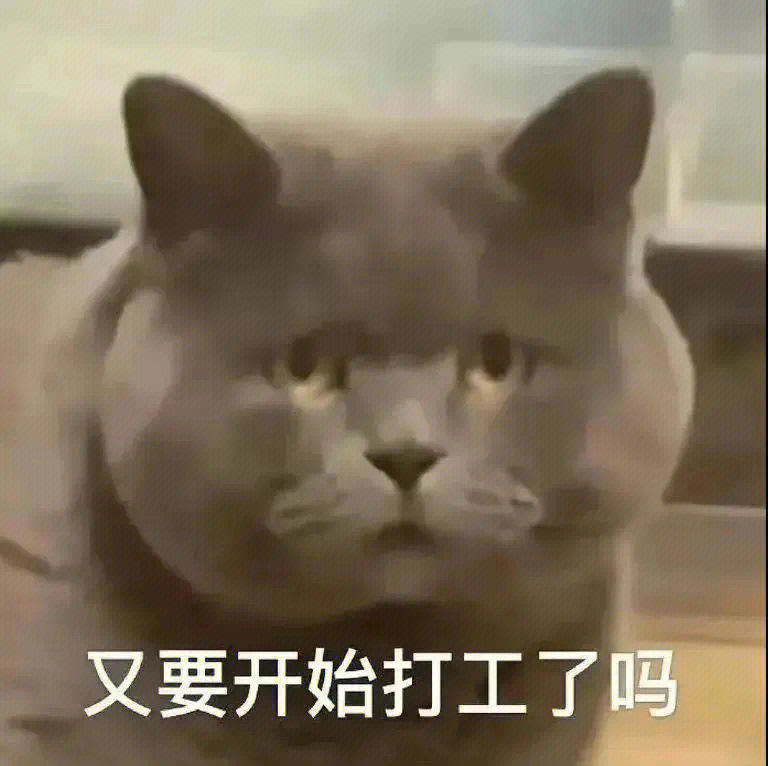 又上班了