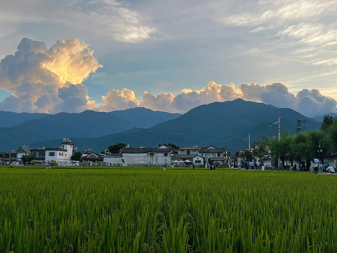 喜洲古镇麦田日落