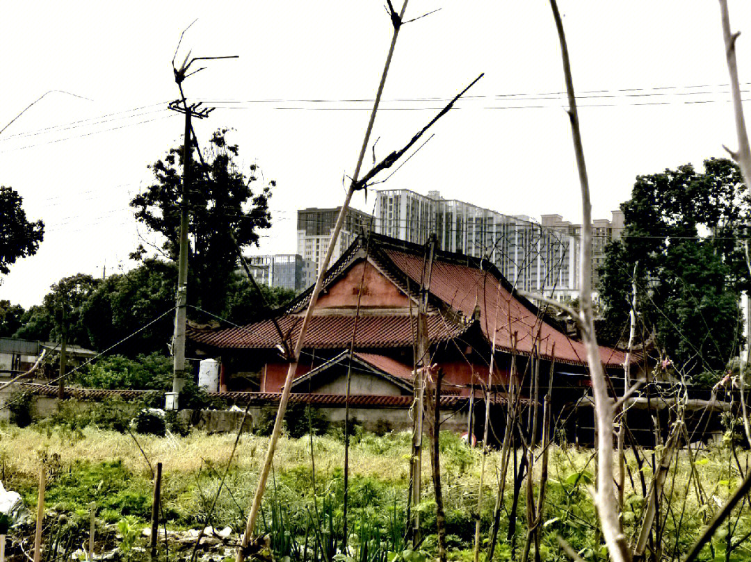 四川兴隆寺图片