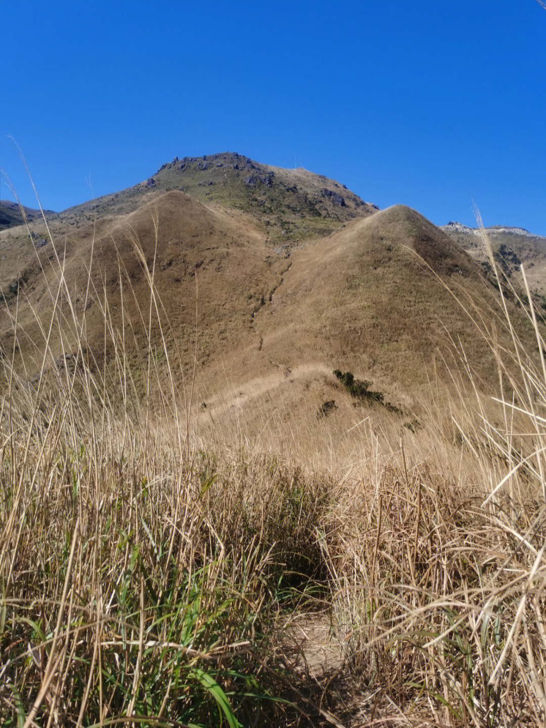 佛山大南山森林公园图片