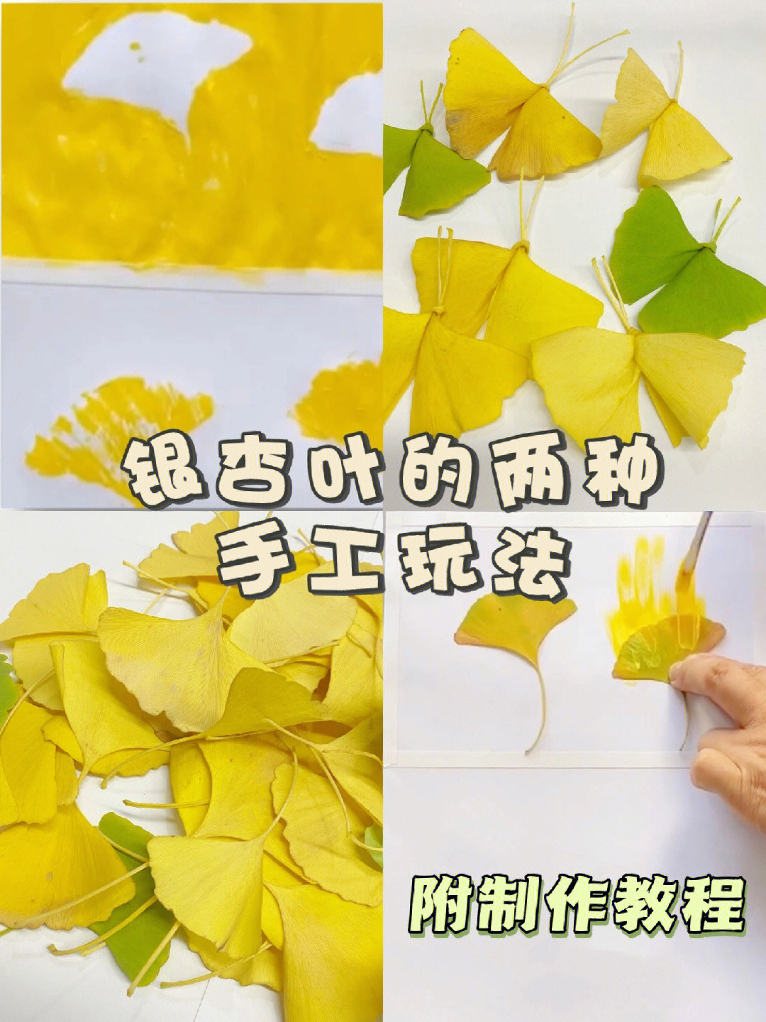 和孩子一起完成银杏叶手工吧,既可以锻炼到宝宝的精细动作,同时又可以