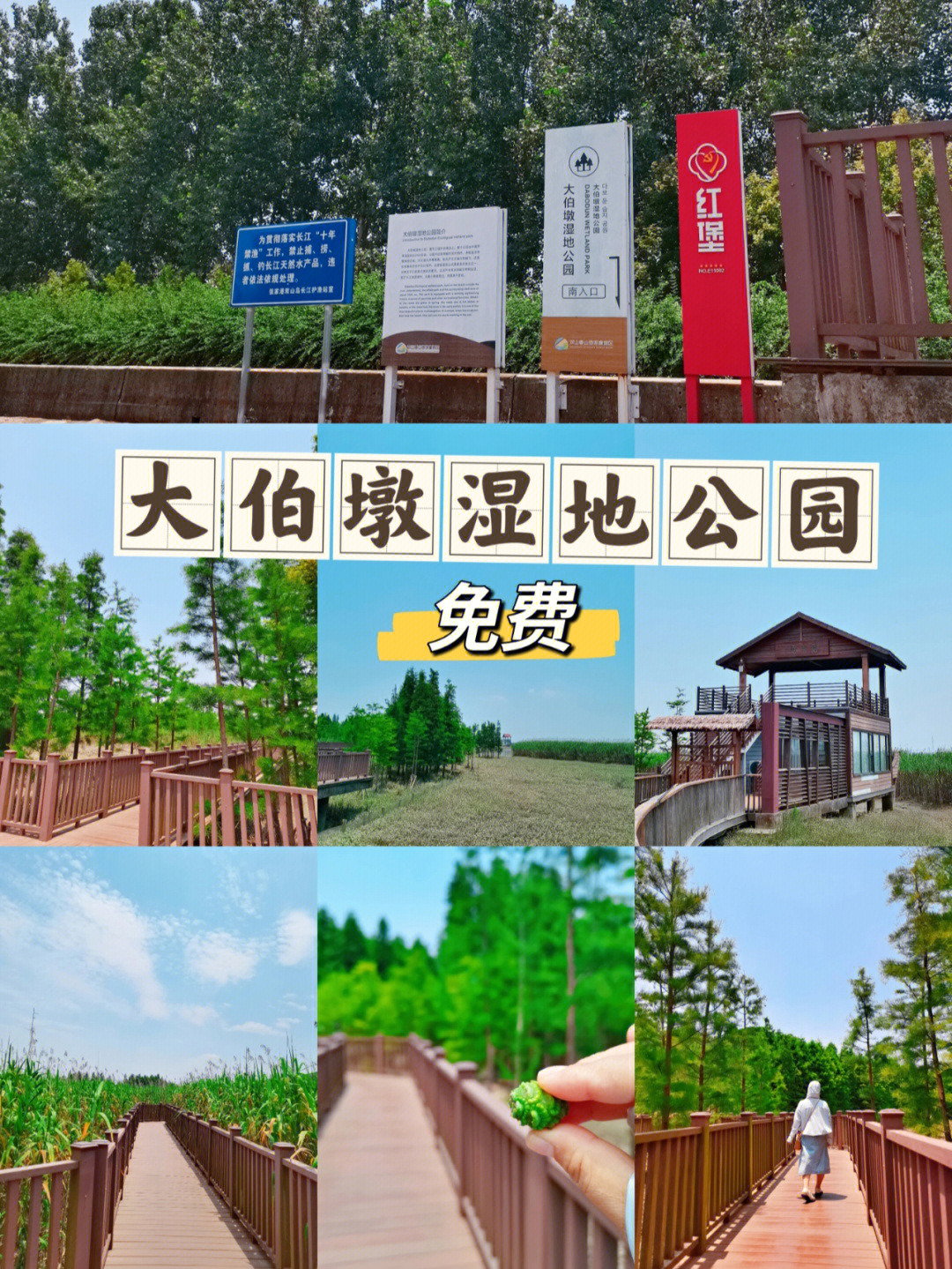 双山岛大伯墩湿地公园下篇