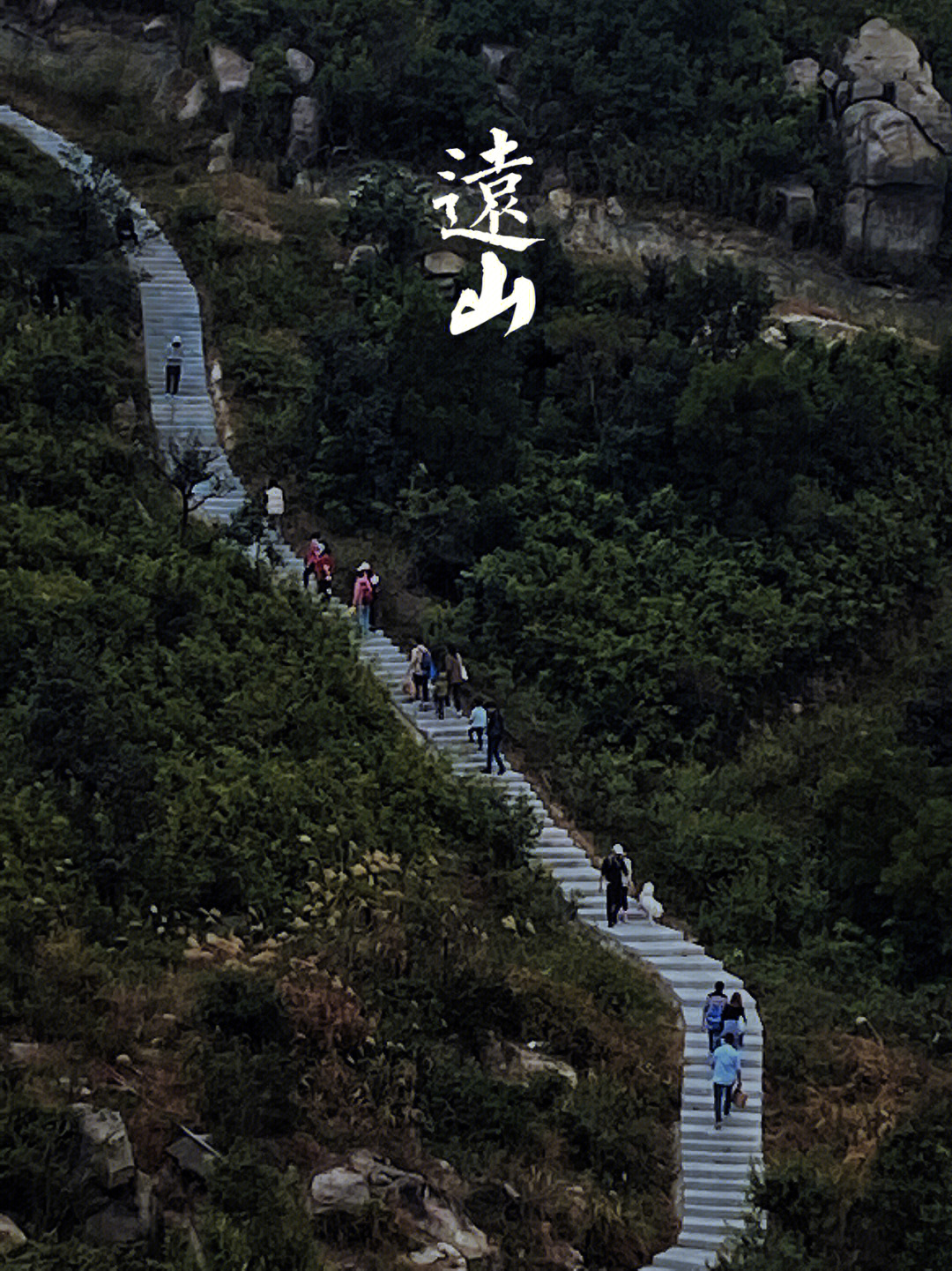 黄杨山海拔图片