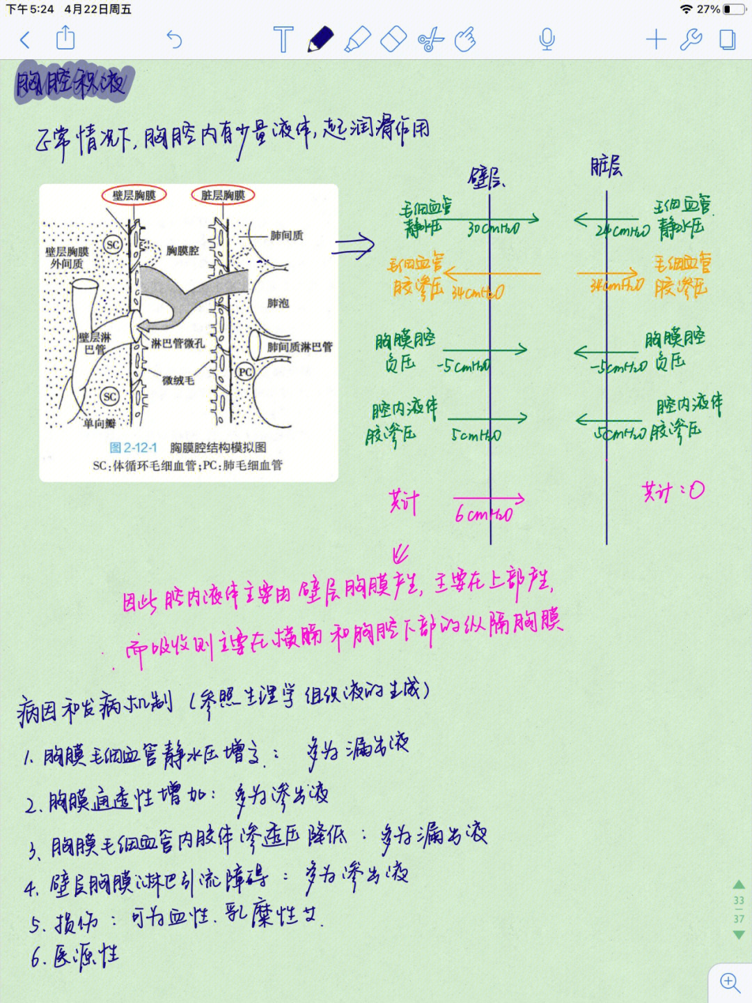 超声胸水腹水鉴别图图片