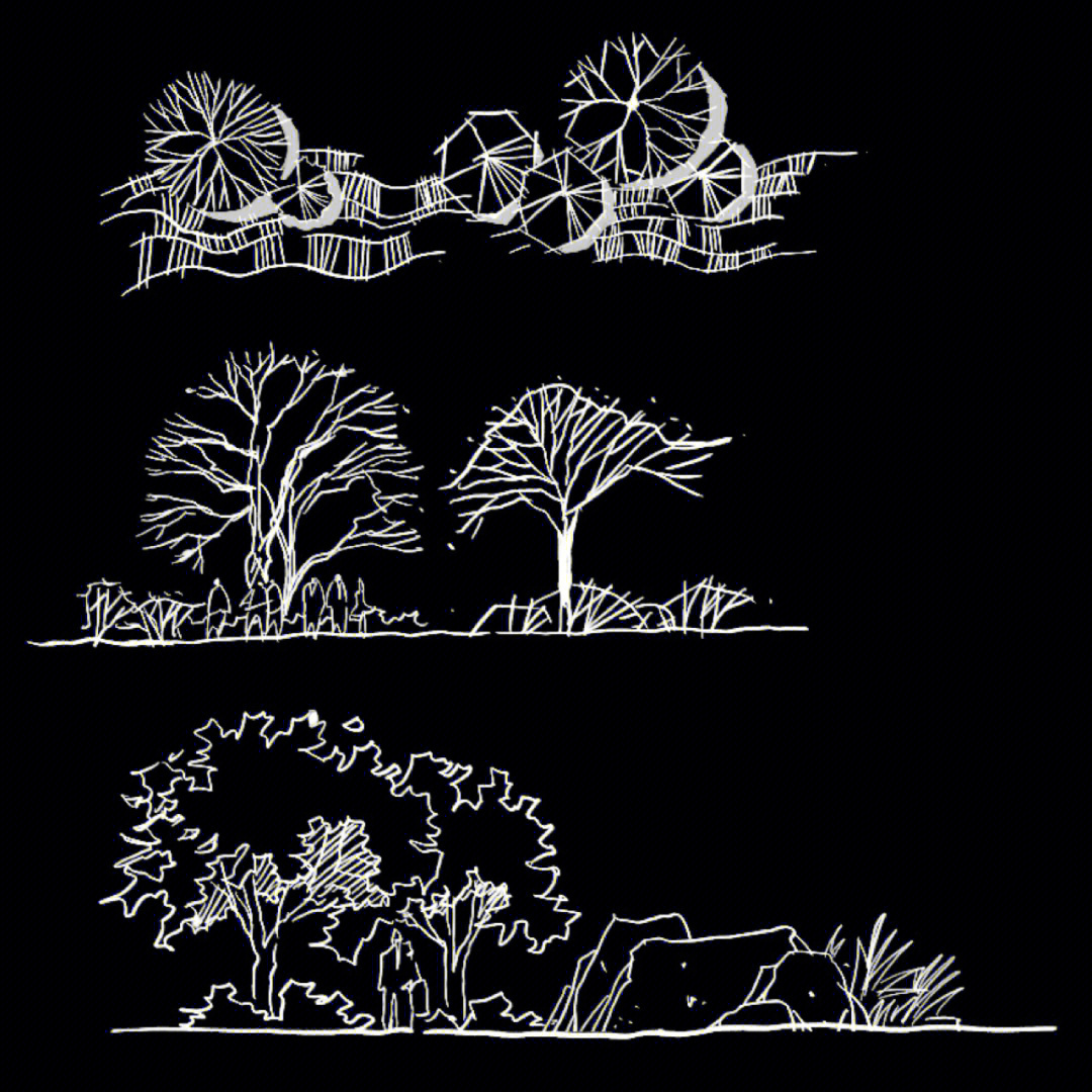 画画立面树和植物组团