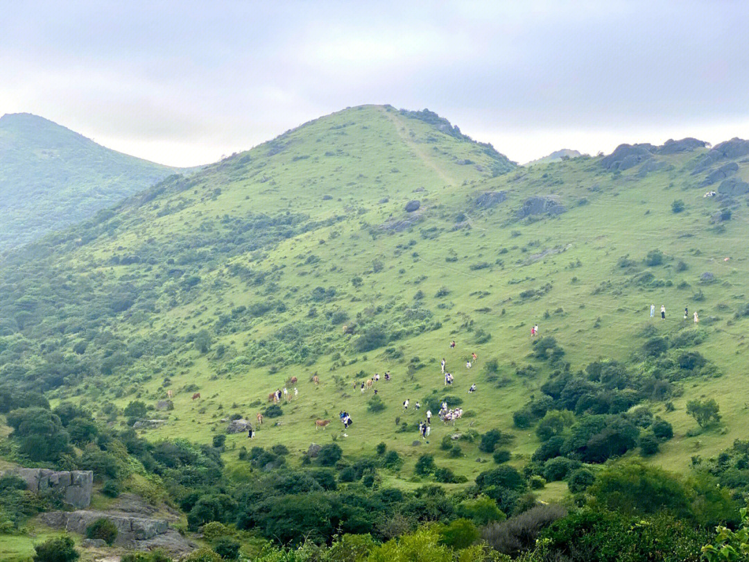 福州周边游福清大姆山草场