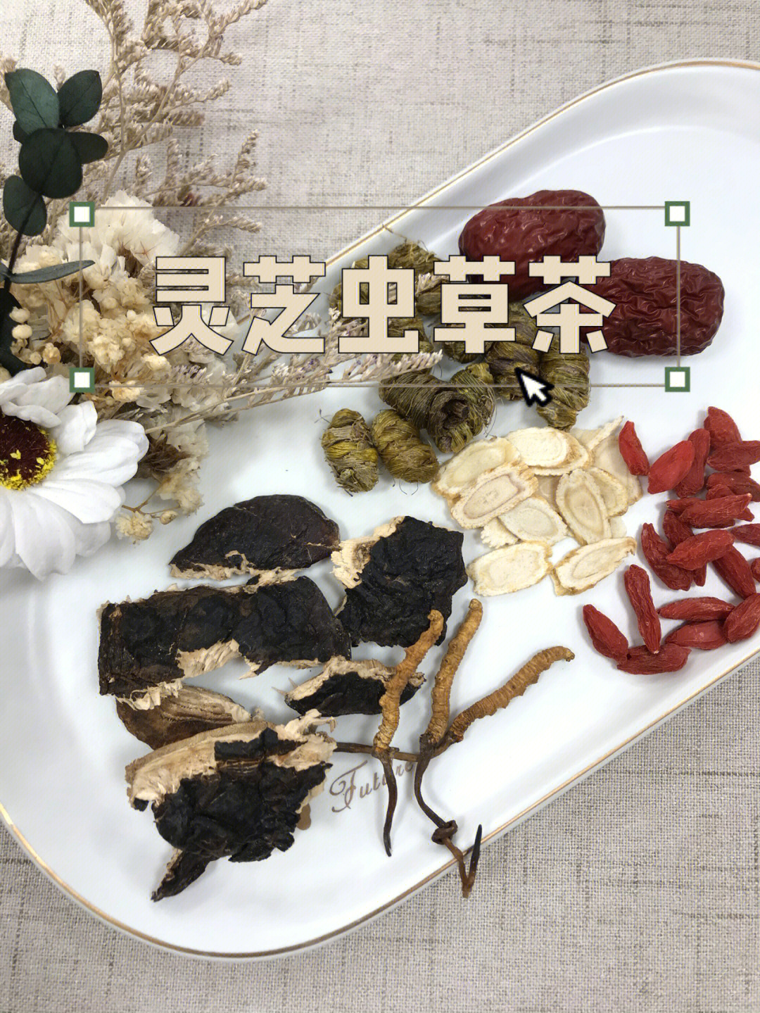 虫草茶 说明书图片