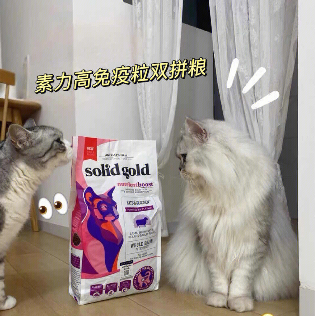 60素力高solidgold双拼猫粮get