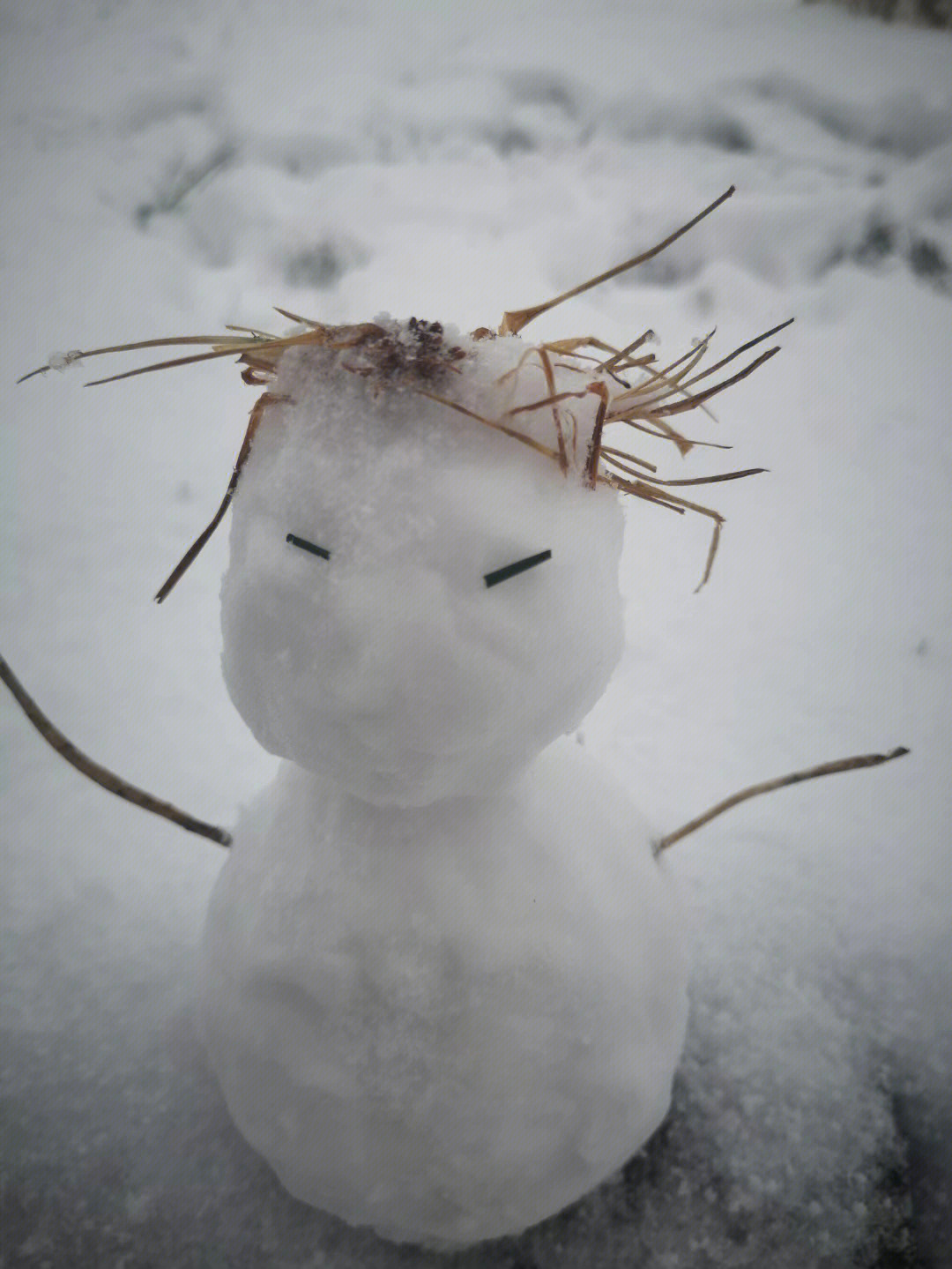 昆明下雪当然要堆雪人啦