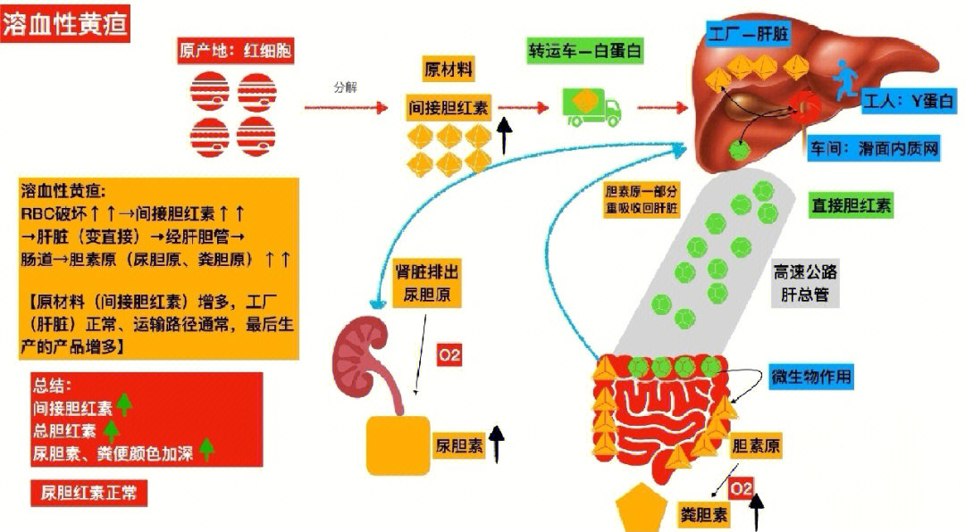 黄染与黄疸的区别图片