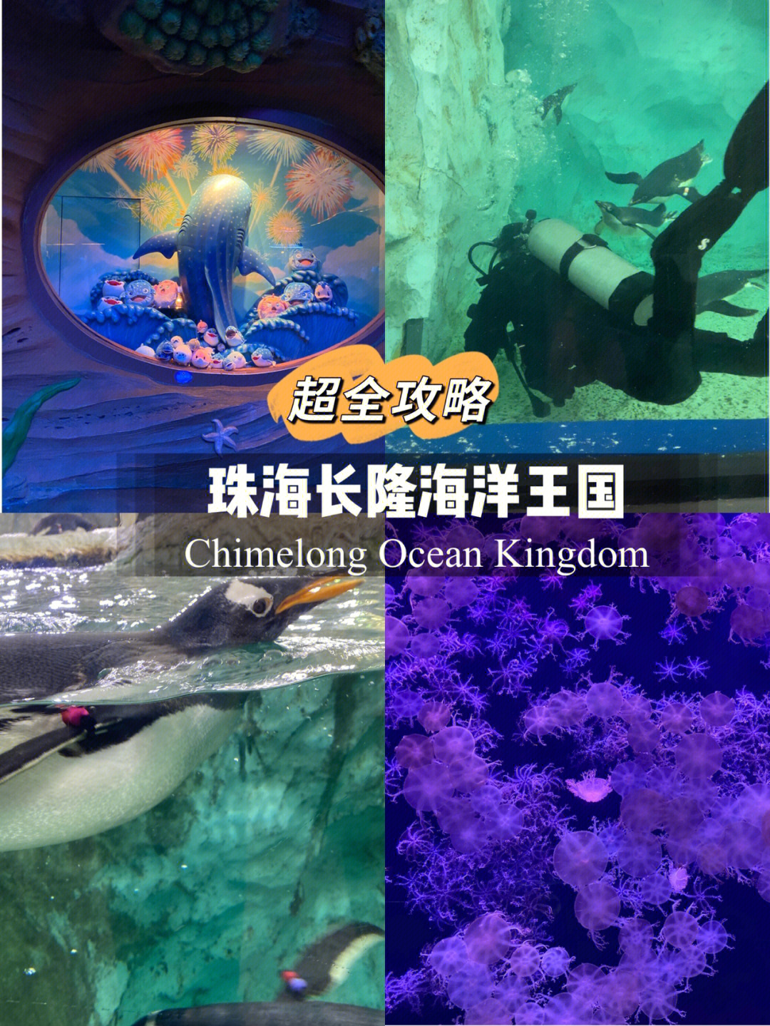 珠海长隆海洋王国攻略大全