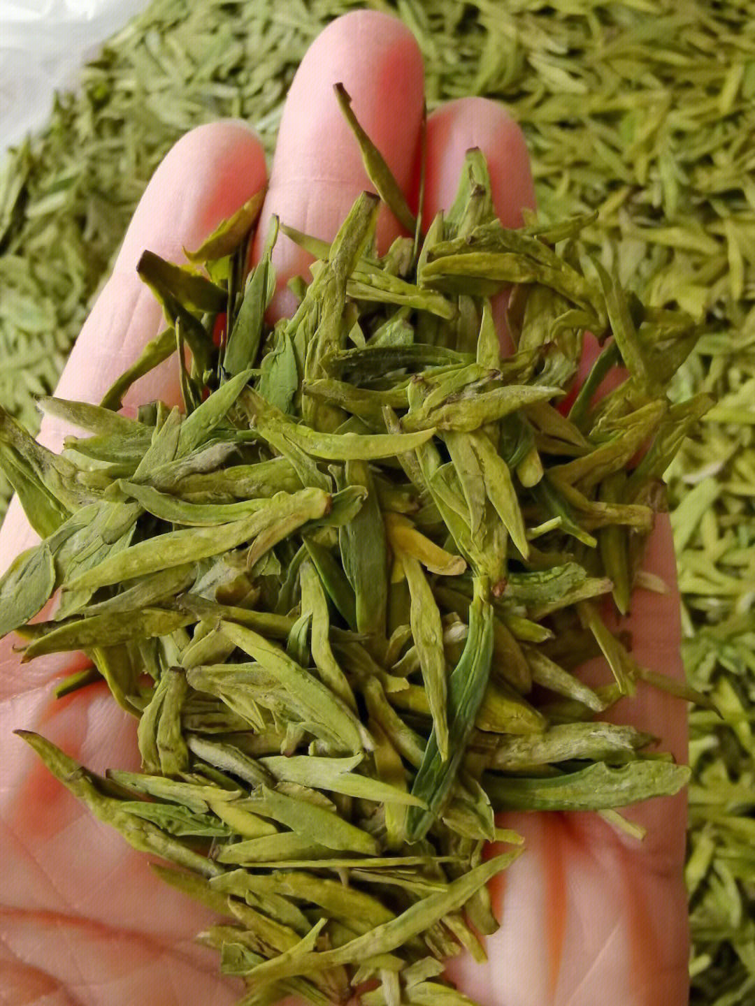 千岛湖湖边的茶叶400多一斤,明前茶,也就是老人们赚点功夫钱,请不起