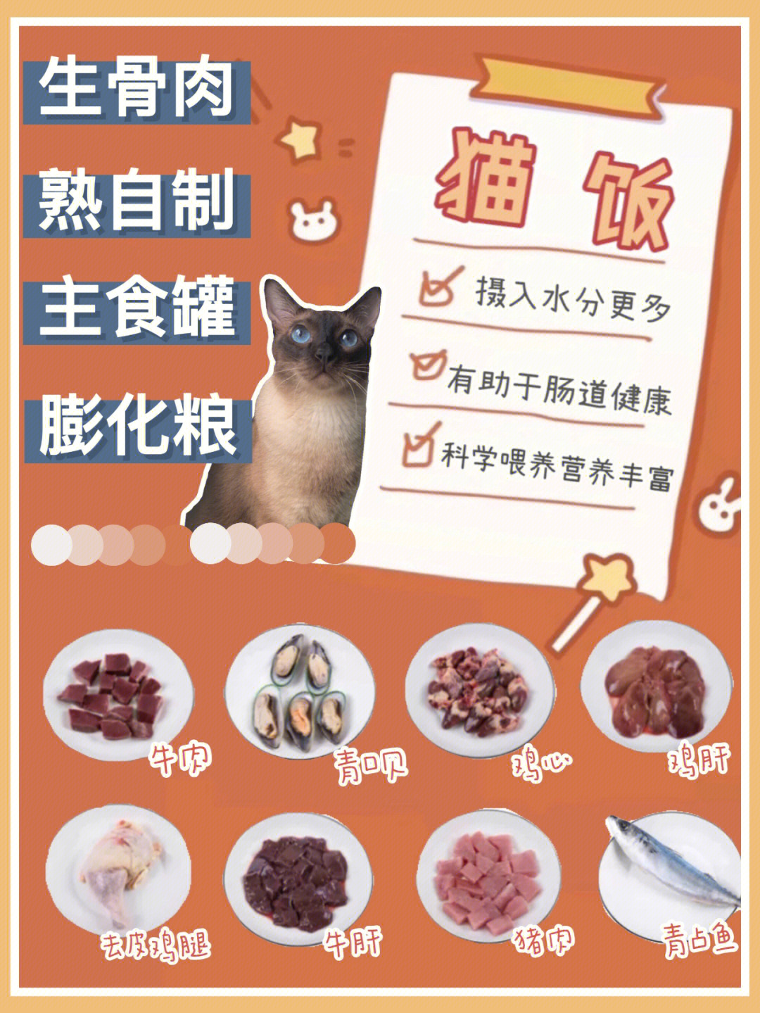 养猫攻略猫咪食堂除了膨化粮还有猫饭