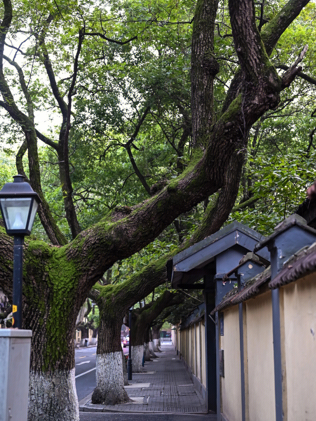 颐和路路牌图片