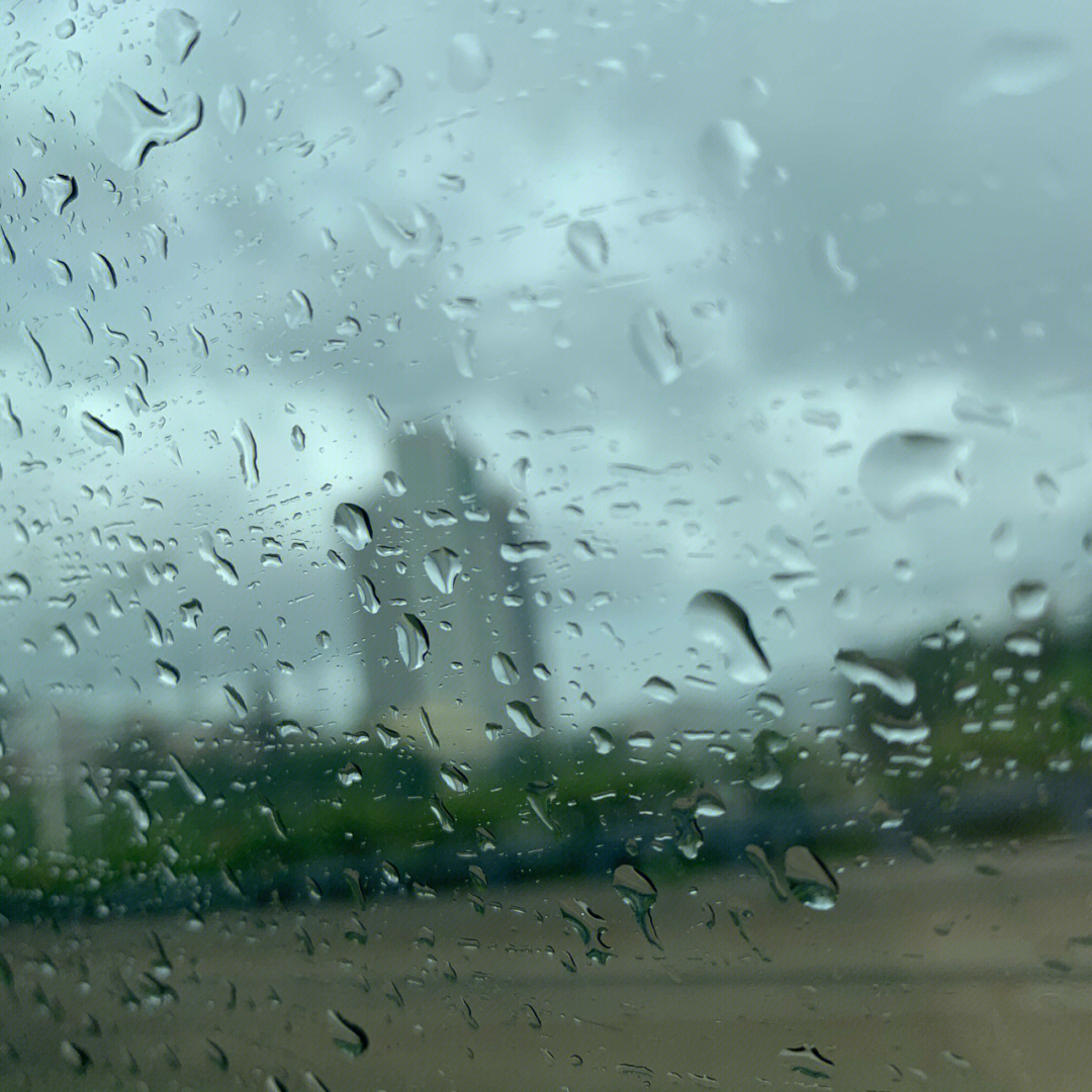 雨中人心理测试图片图片