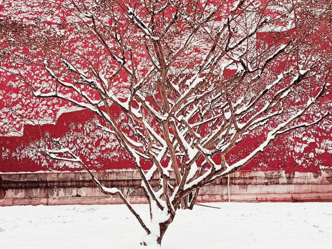 雪色图片