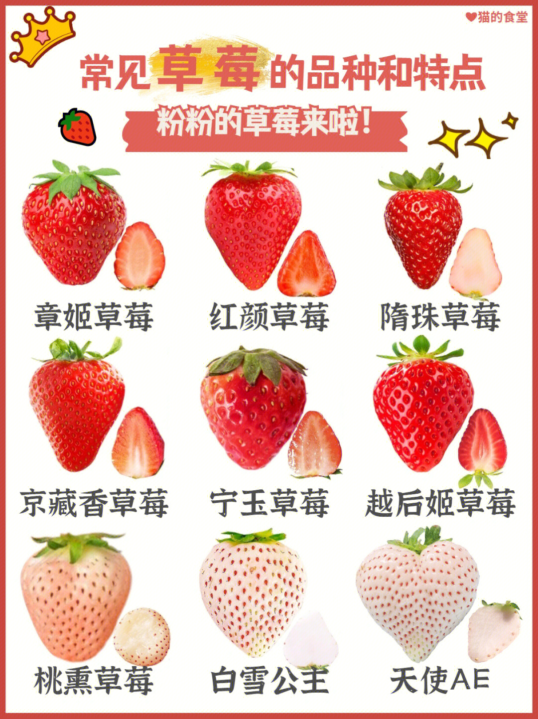说明书常见草莓的品种和特点